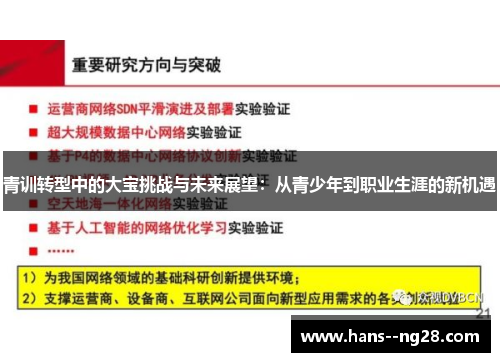 青训转型中的大宝挑战与未来展望：从青少年到职业生涯的新机遇