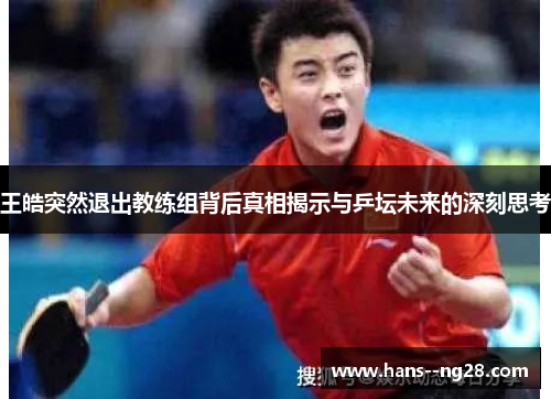 王皓突然退出教练组背后真相揭示与乒坛未来的深刻思考