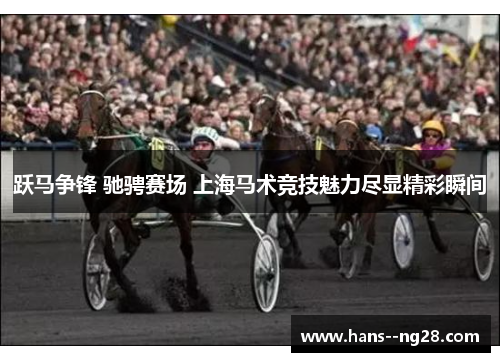 跃马争锋 驰骋赛场 上海马术竞技魅力尽显精彩瞬间