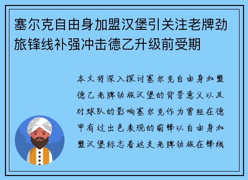 塞尔克自由身加盟汉堡引关注老牌劲旅锋线补强冲击德乙升级前受期